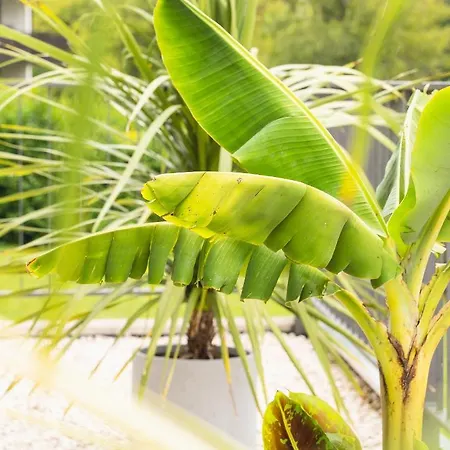 Qc Quartier Chiemsee Hotel